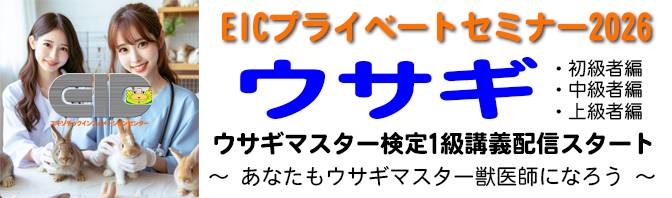 うさぎ検定1級