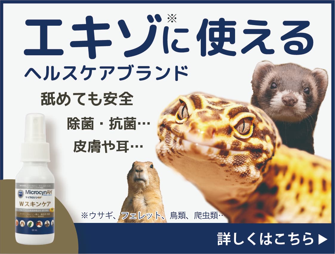 エキゾに使える