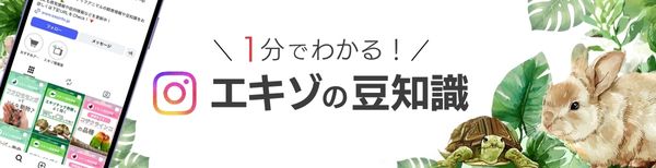1分で分かるエキゾの豆知識