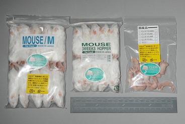 専門獣医師が解説するベストな冷凍マウスの解凍の方法