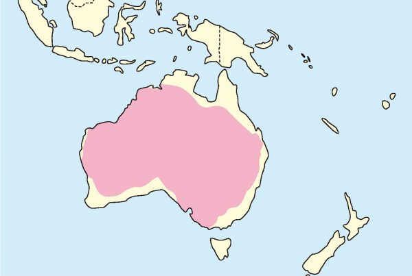 セキセイインコ分布図
