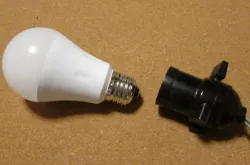 バスキングライト