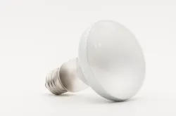 バスキングライト