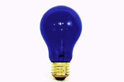 バスキングライト