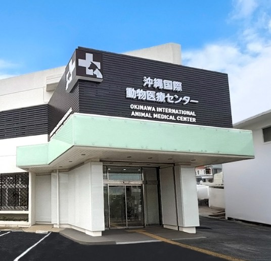 沖縄国際医療センター