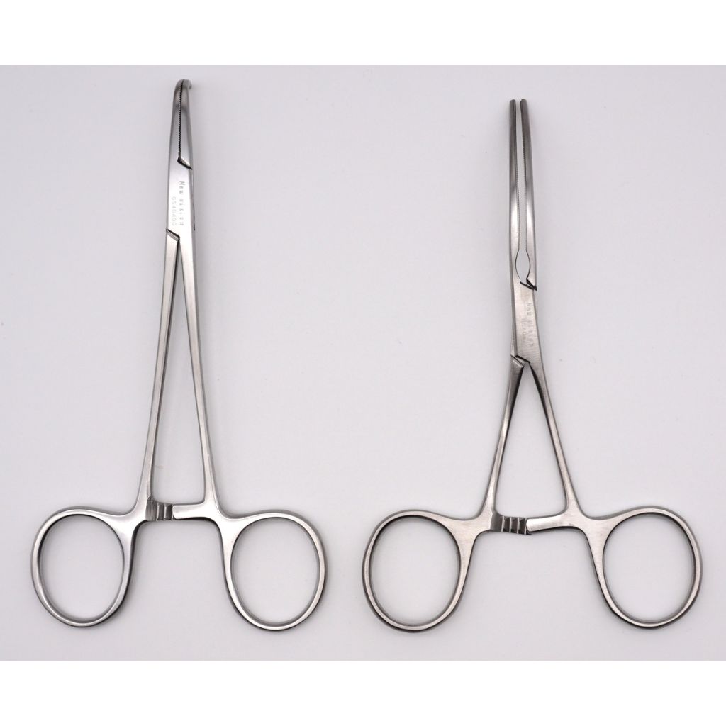 フェレット副腎セット