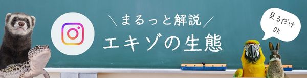 まるっと解説エキゾの生態