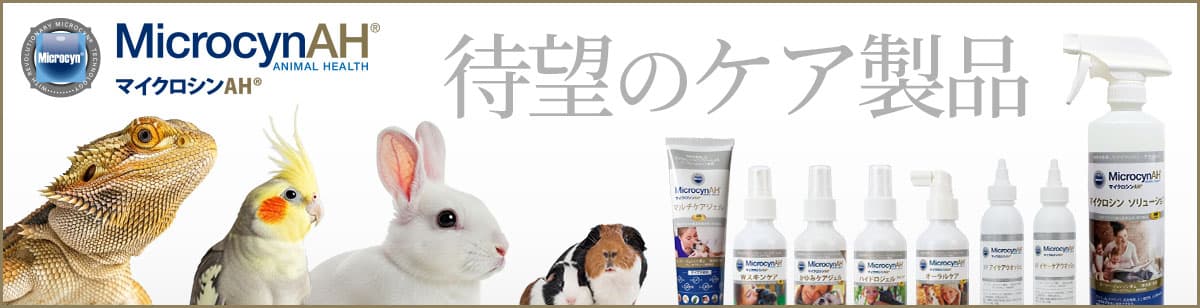 待望のケア製品