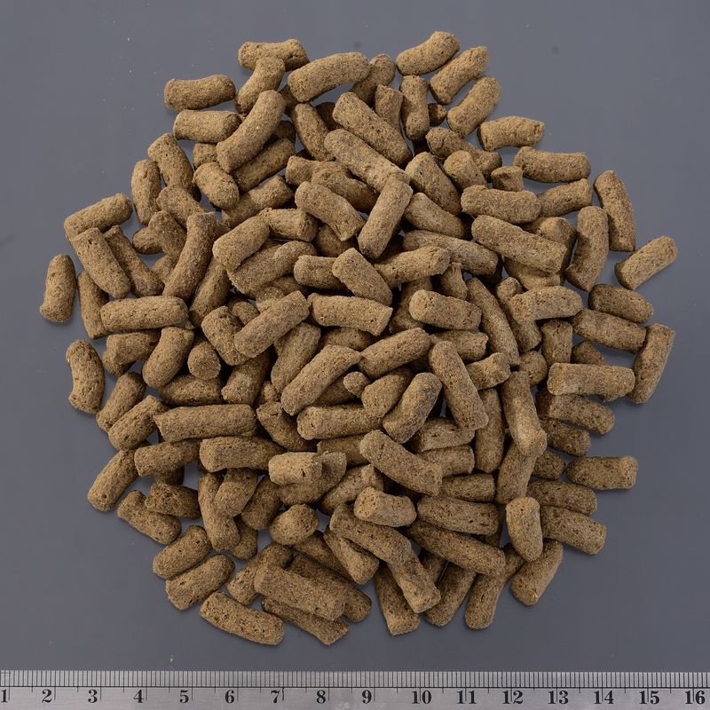 【ジェックス 】RepDeli トカゲブレンドフード 200g - 画像 (3)