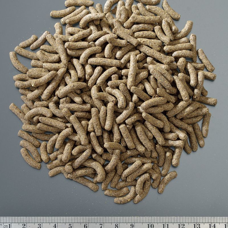 【ジェックス 】RepDeli フトアゴブレンドフード スティック 250g - 画像 (3)