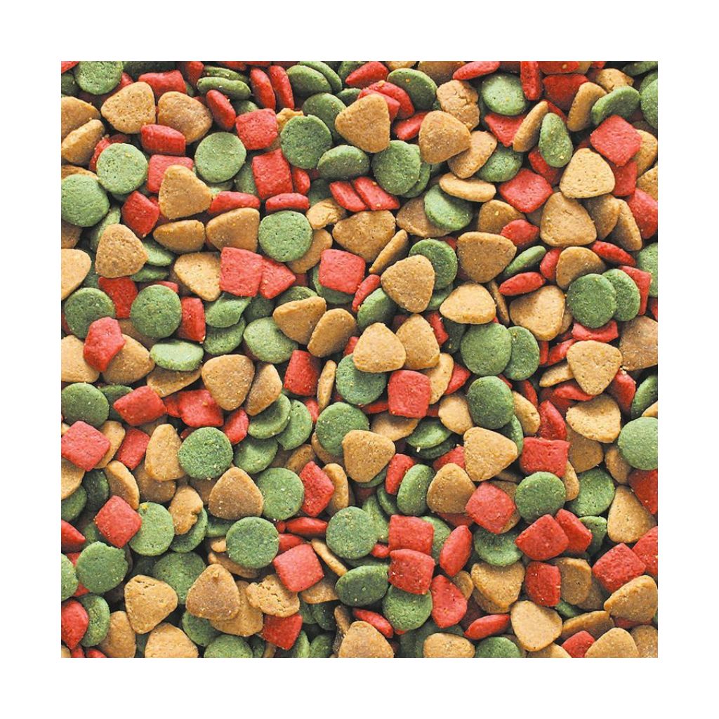 【マルカン】フェレットディナープロ 800g - 画像 (2)