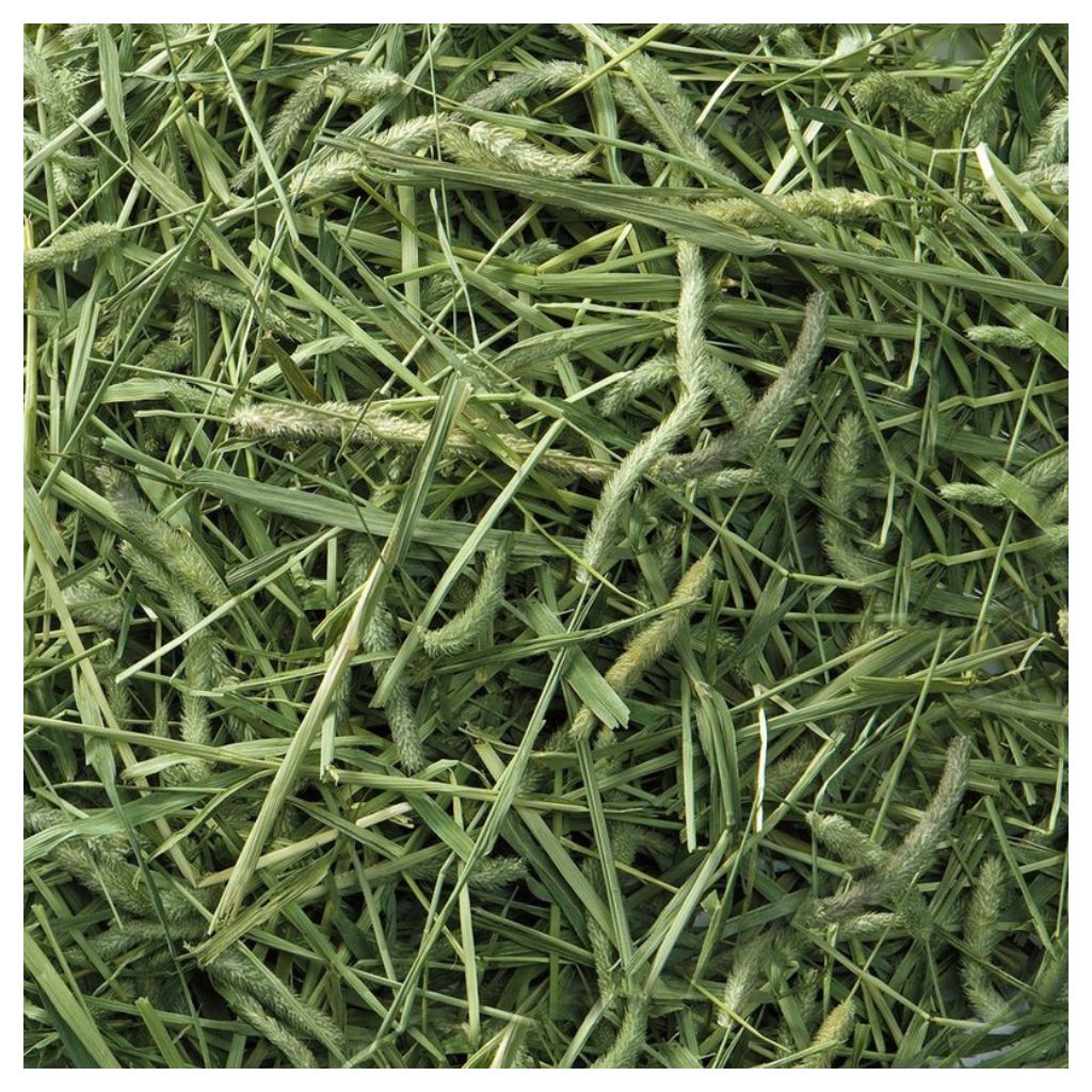 【マルカン】バニーグレード チモシー 1kg - 画像 (2)