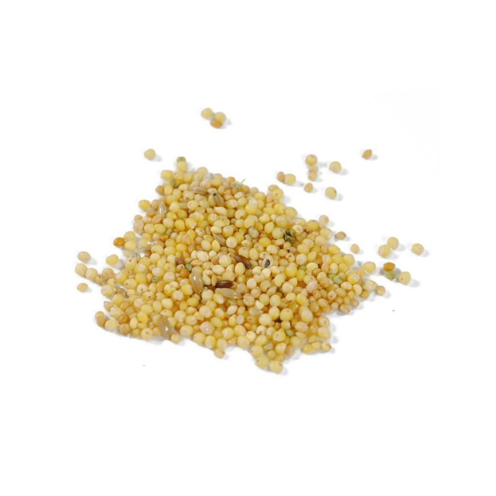 【 ペットプロジャパン】ペットプロ 小鳥のごはん 皮付 1kg - 画像 (2)