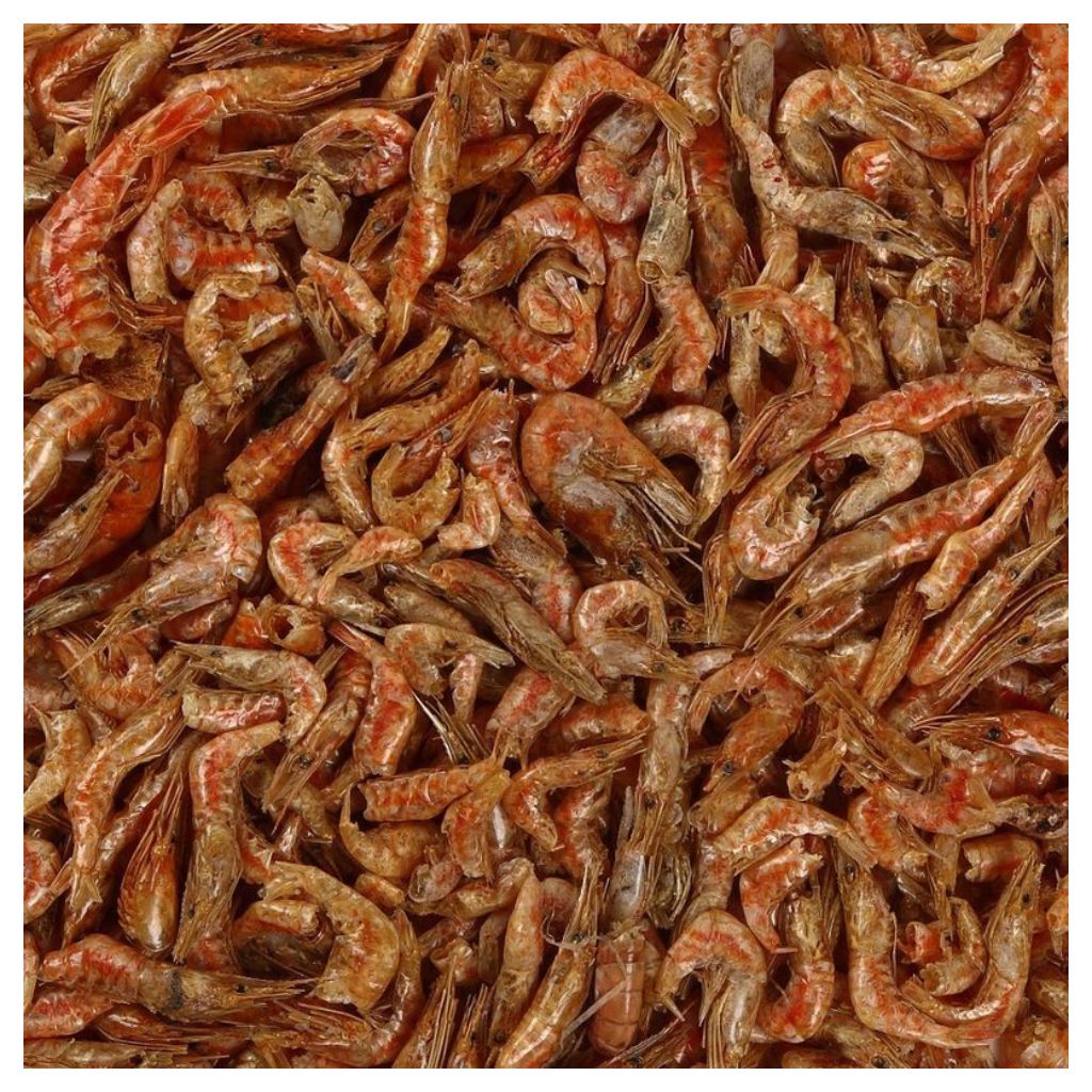 【 イトスイ】大エビカメのおやつ 55g - 画像 (2)