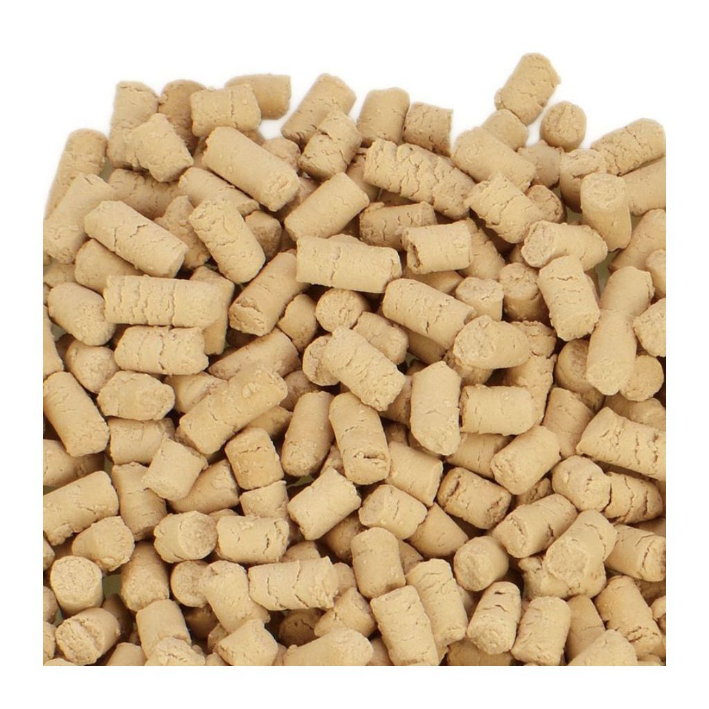 【三晃商会】乳酸菌 お徳用 100g - 画像 (2)