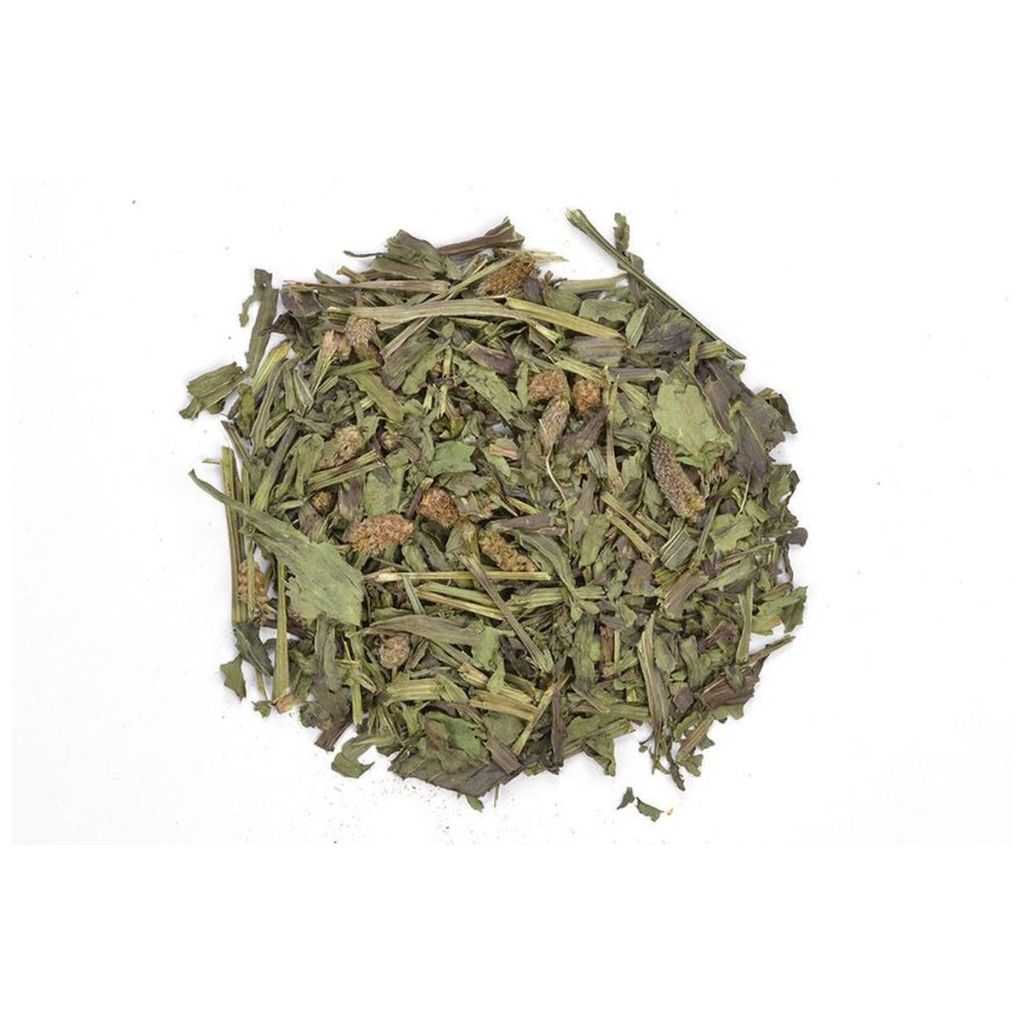 【三晃商会】デリスタイル オオバコ 30g - 画像 (2)