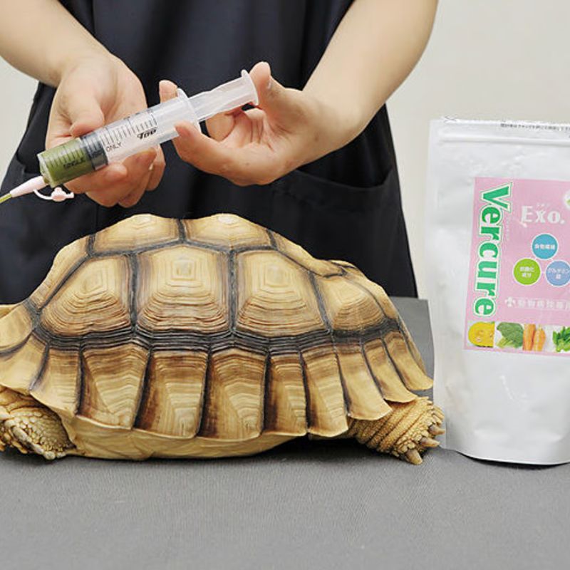 ヴェルキュア エキゾ 草食動物用流動食 100g×5個 - 画像 (4)